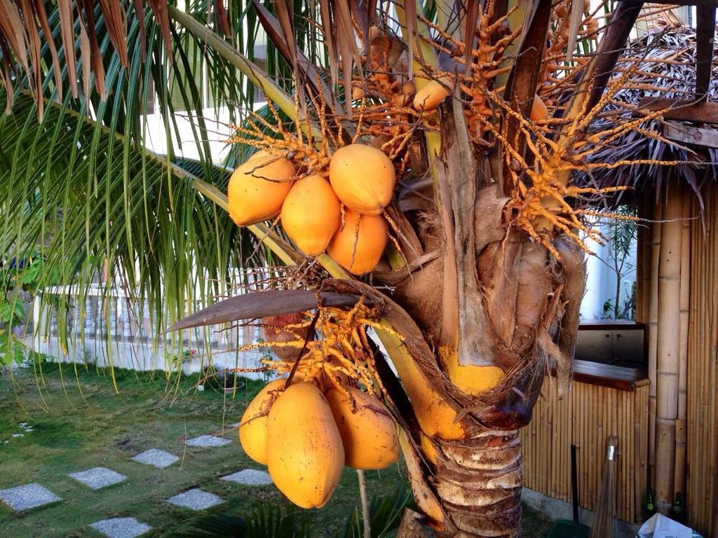 Oslob Garden Stay Beach Resort 外观 照片