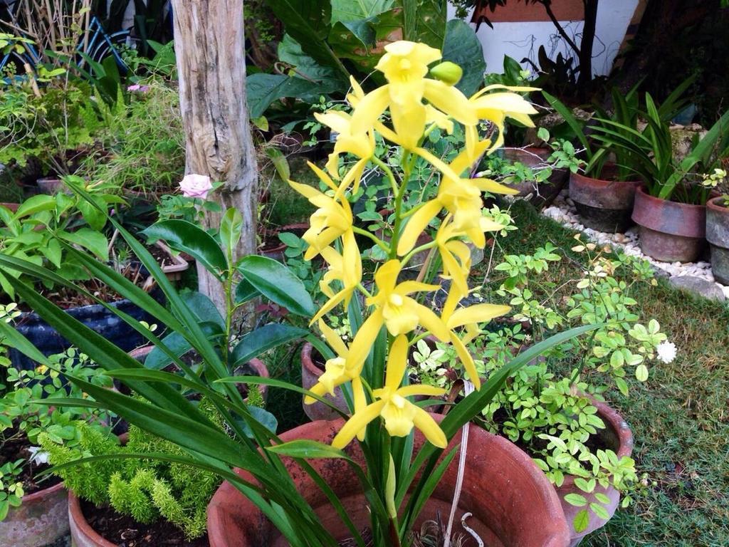 Oslob Garden Stay Beach Resort 外观 照片
