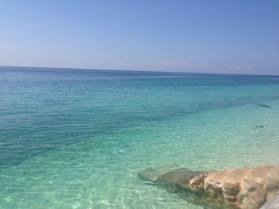 Oslob Garden Stay Beach Resort 外观 照片